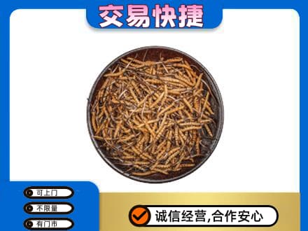 张家口高价回收散虫草